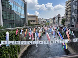 IMG_7478.jpg
